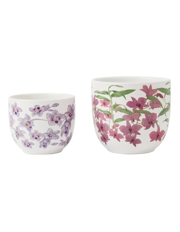 Australian Orchids Gift Boxed Planter Set of 2 in Pink/Lilac