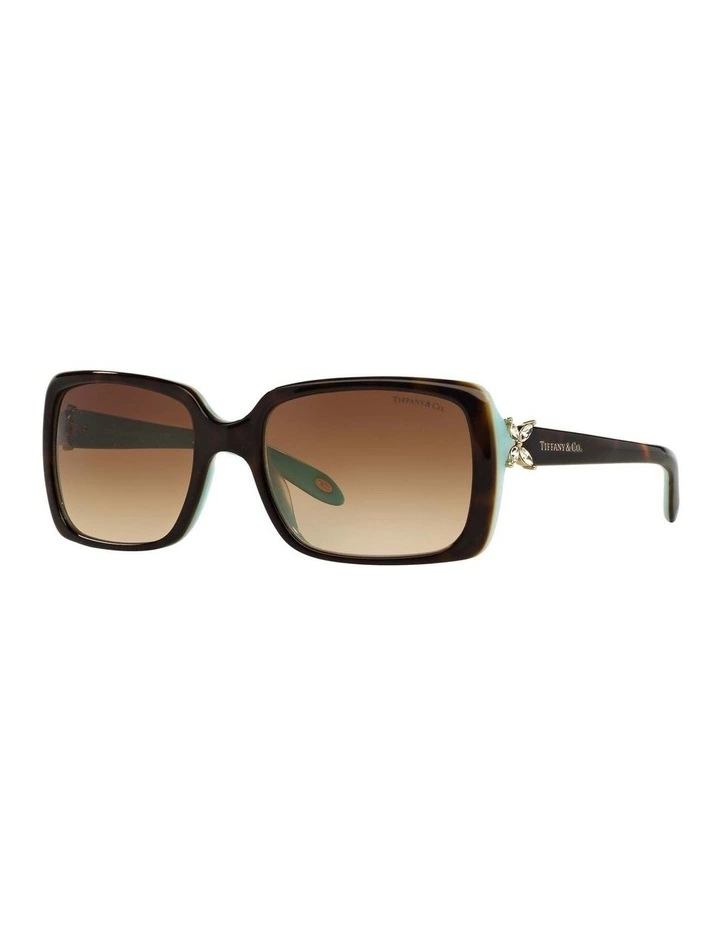 TF4047B Tortoise Sunglasses