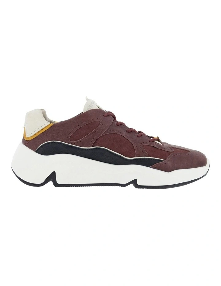 Chunky Colour Pops Sneaker In Dark Brown