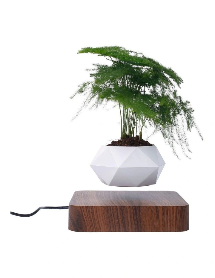 Rotating Magnetic Levitating Pot Plant in Dark Brown Base