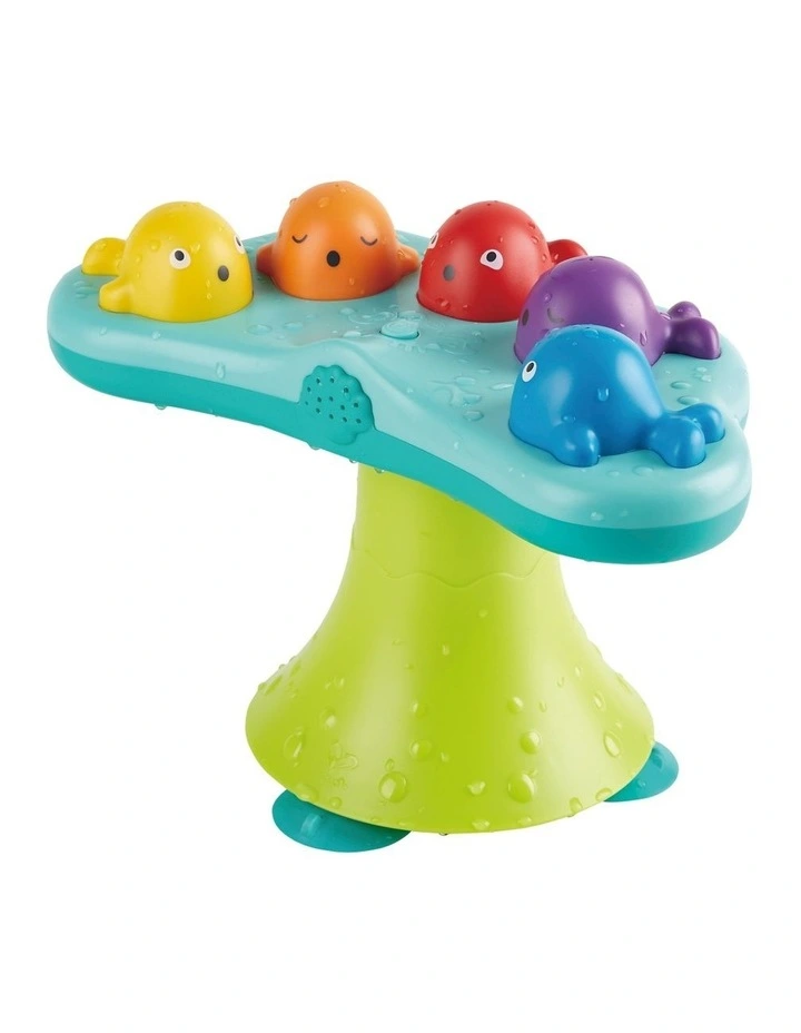 Musical Whale Fountain