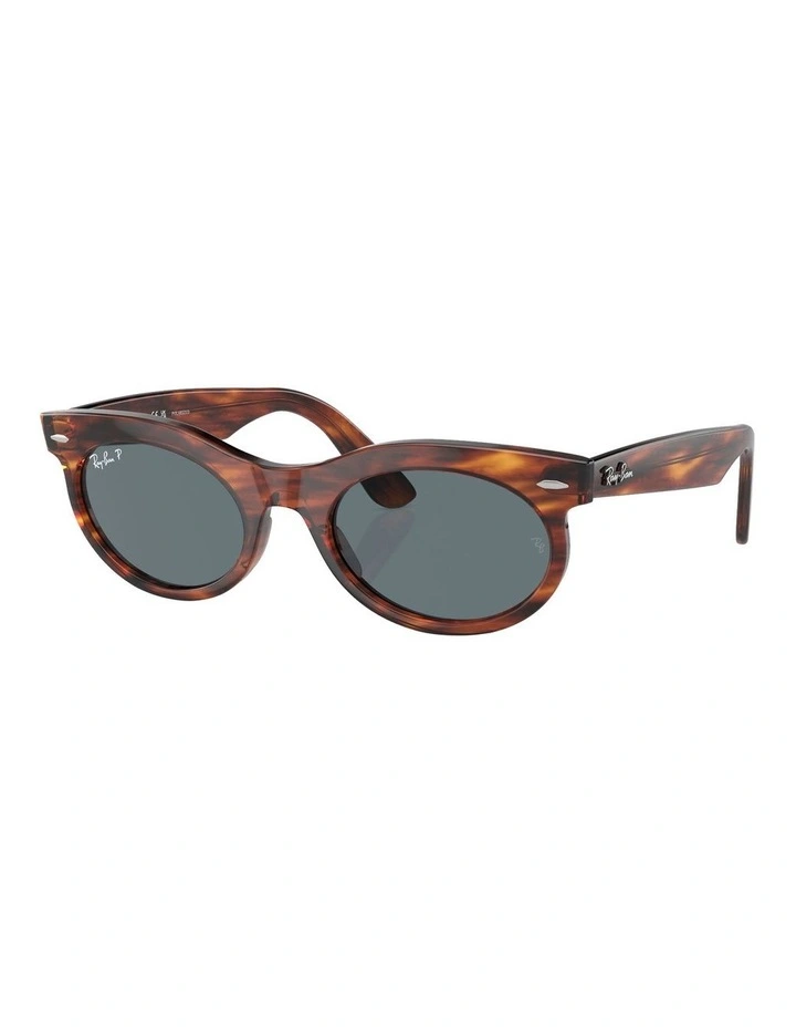 Wayfarer Oval Polarised Sunglasses in Brown