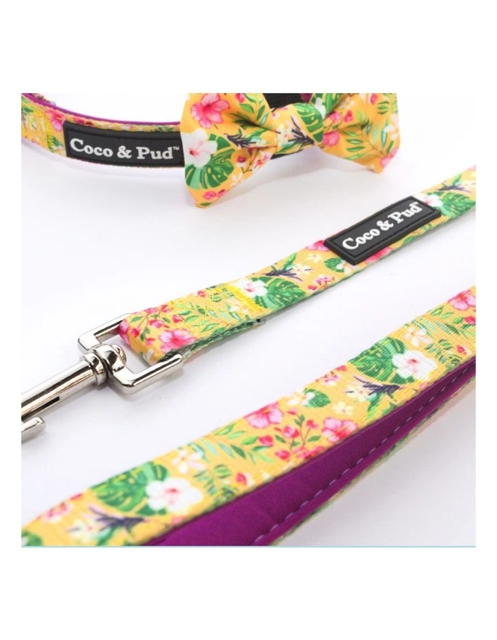 Summer Sunrise Reversible Dog lead/ Leash