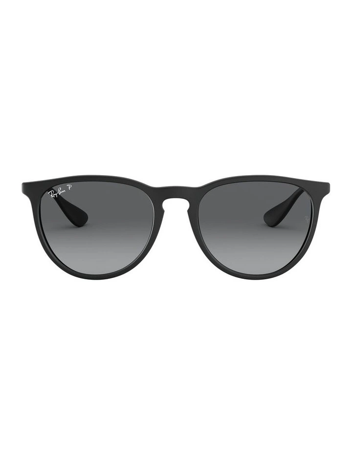 Erika Color Mix Black RB4171 Polarised Sunglasses