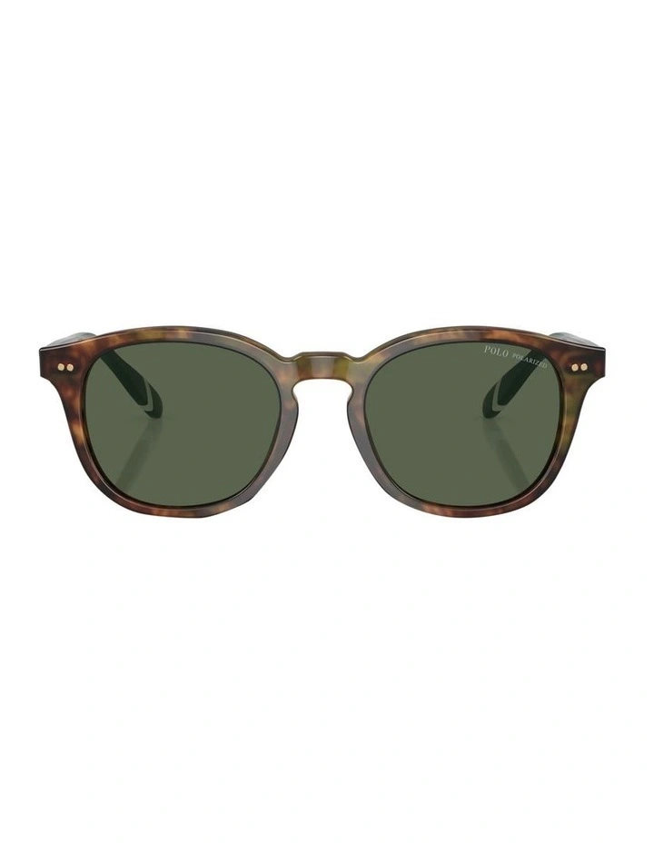 Polarised PH4206 Sunglasses in Tortoise