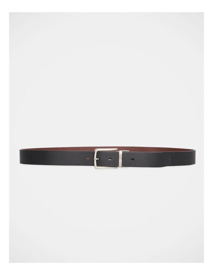 Pet Accessory