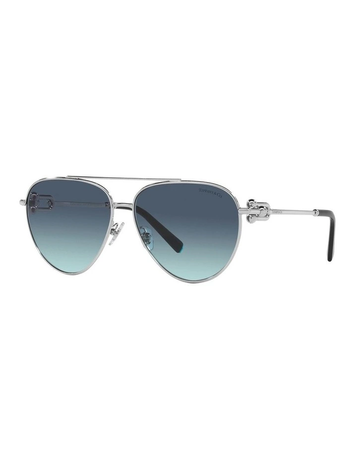 TF3092 Sunglasses in Silver