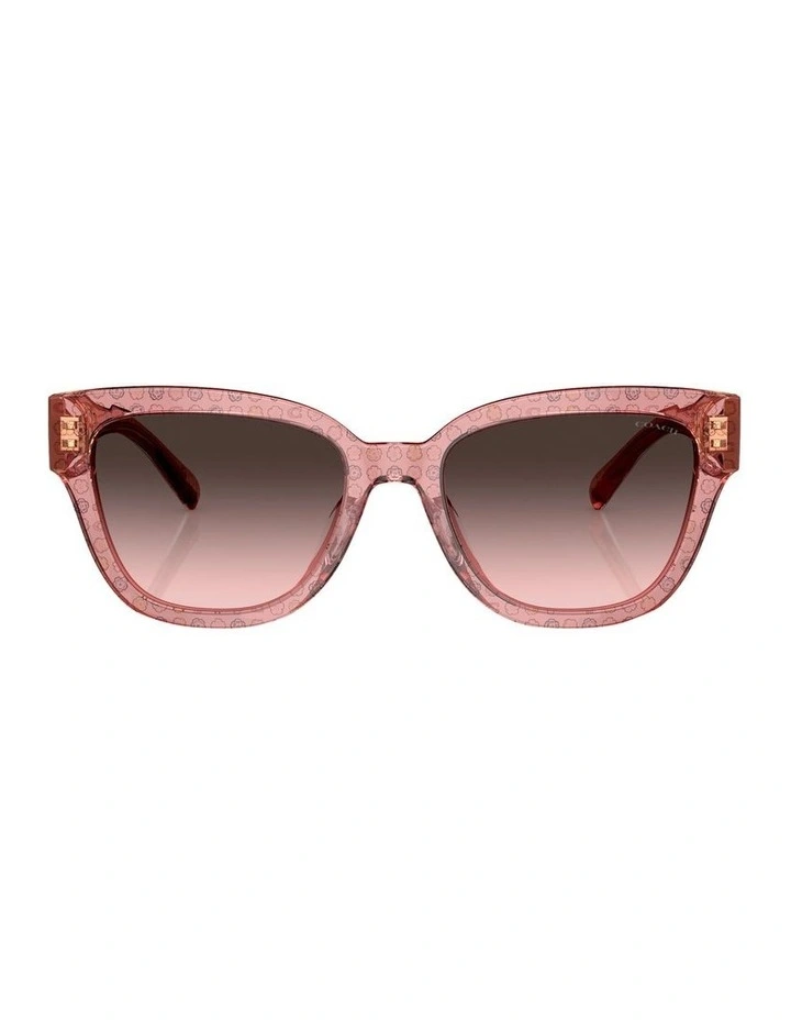 CL920 Sunglasses in Pink