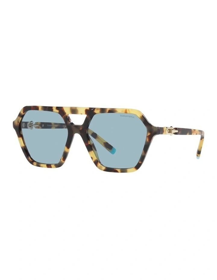 0TF4198 Sunglasses In Yellow Havana