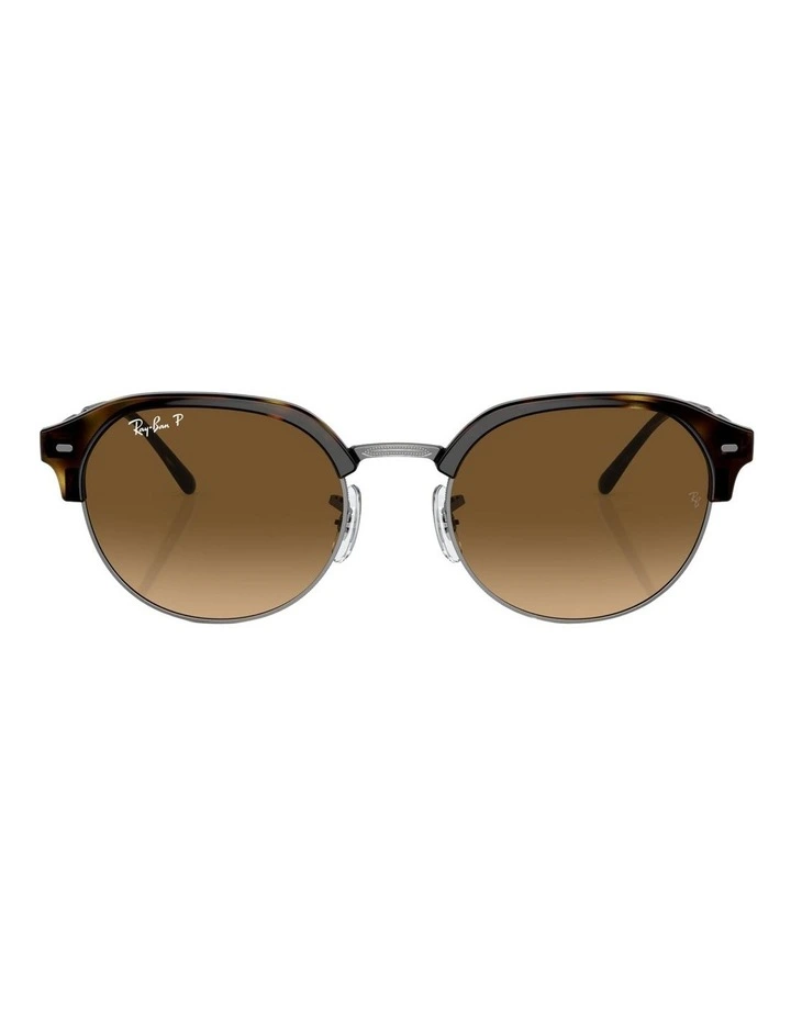 Polarized RB4429 Sunglasses in Brown