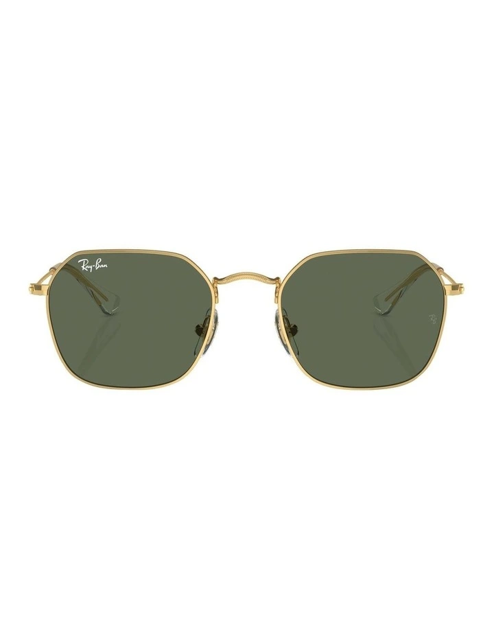 RB9594S Sunglasses in Gold