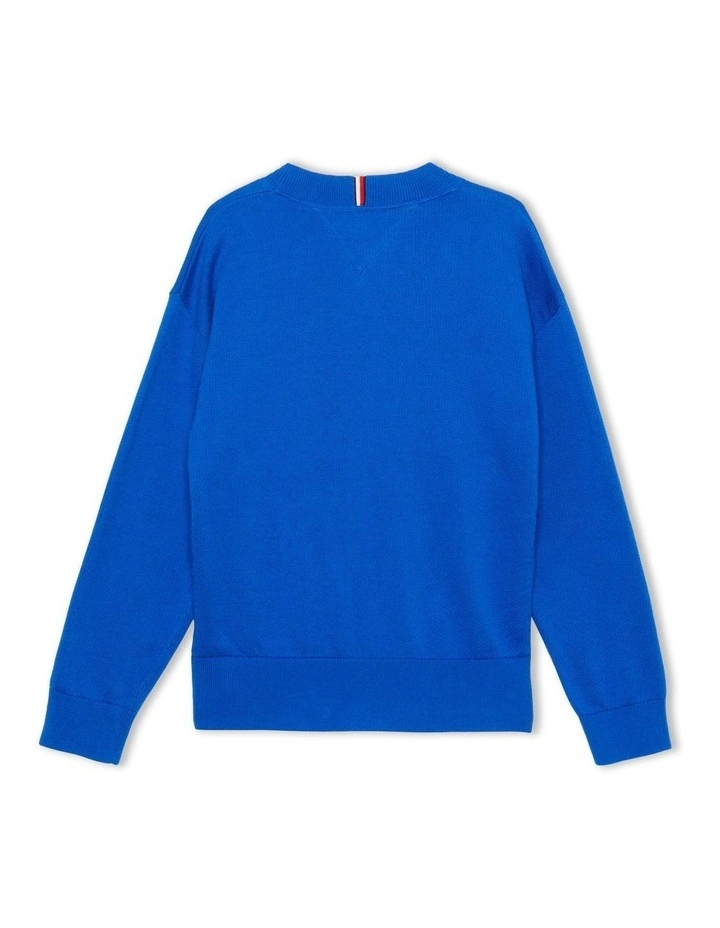 Script Logo Terry Jumper (8-16 Years) in Blue