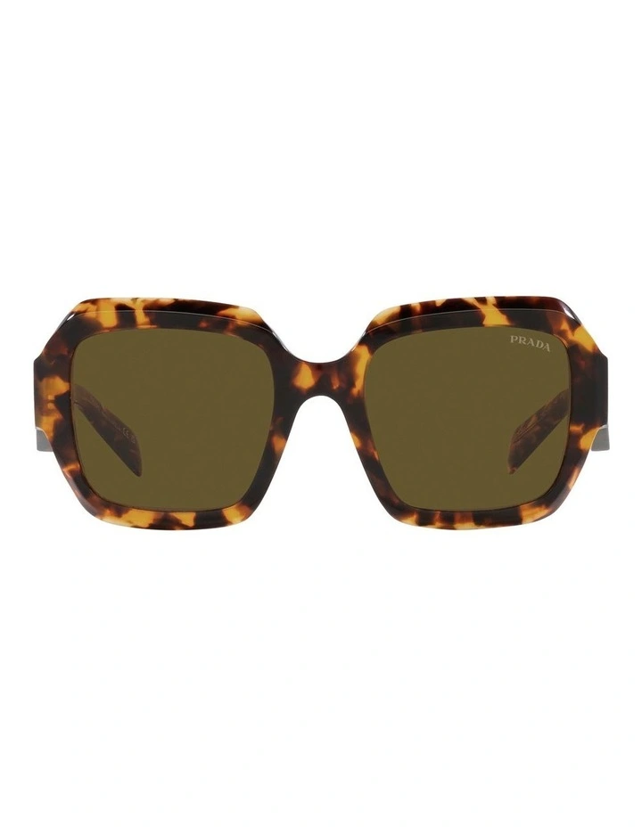 PR 28ZS Sunglasses in Green