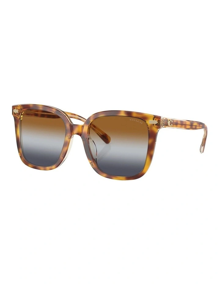 CL918 Sunglasses in Brown