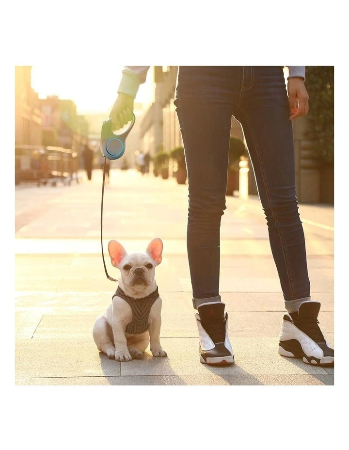 Go Shine Dog 4.7m Retractable Leash in White