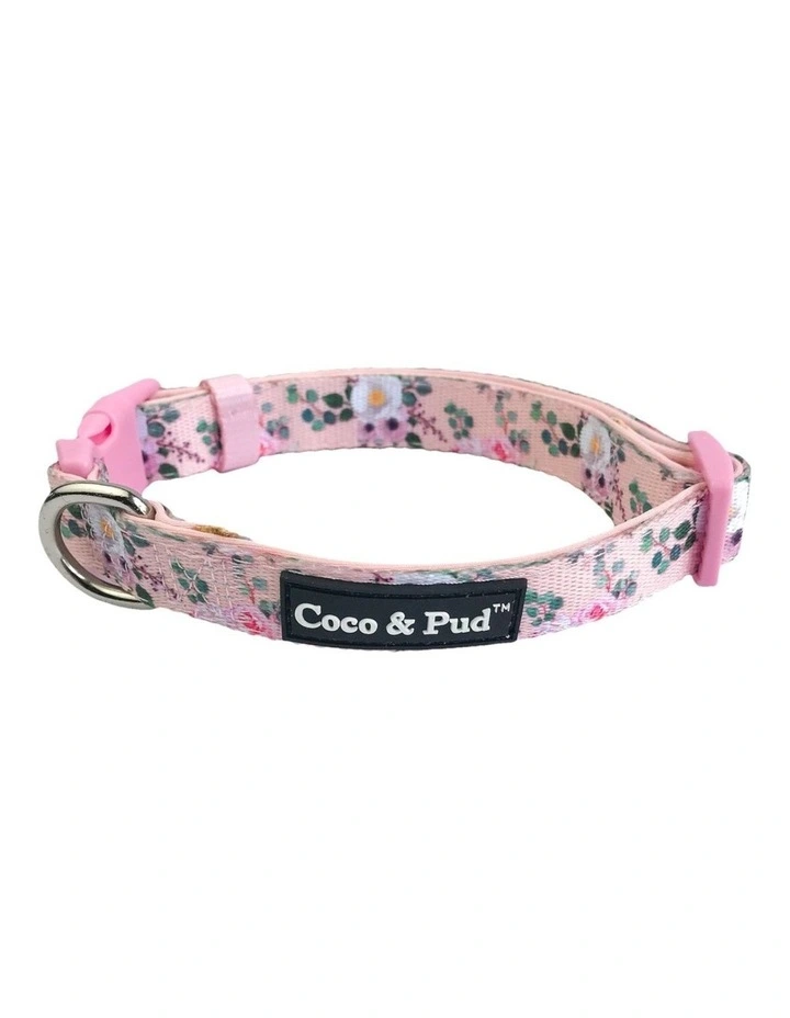 Provence Rose Dog Collar