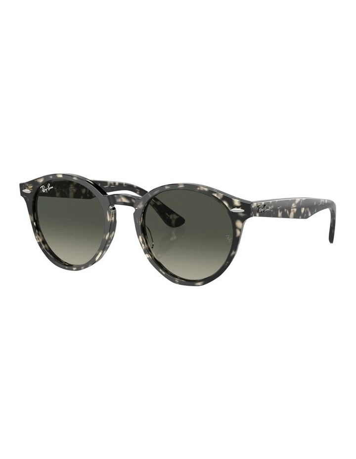 Larry Sunglasses in Grey