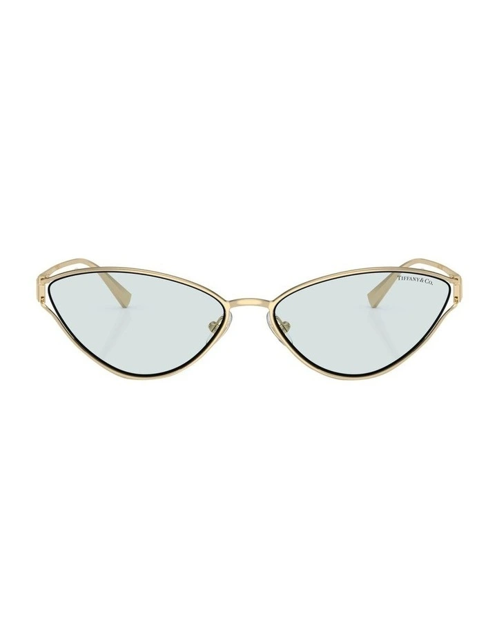 TF3095 Sunglasses in Gold