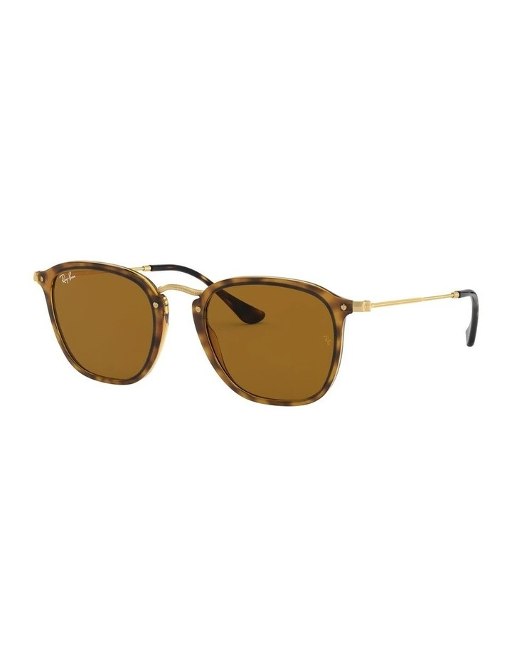 RB2448N Brown Sunglasses