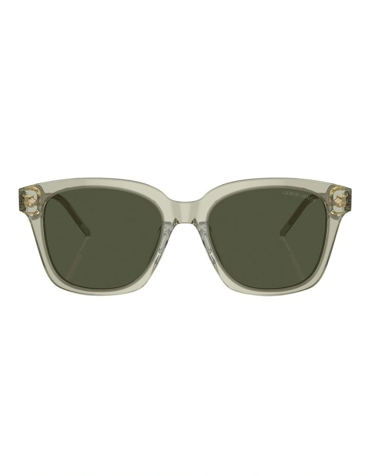 AR8210U Sunglasses in Green