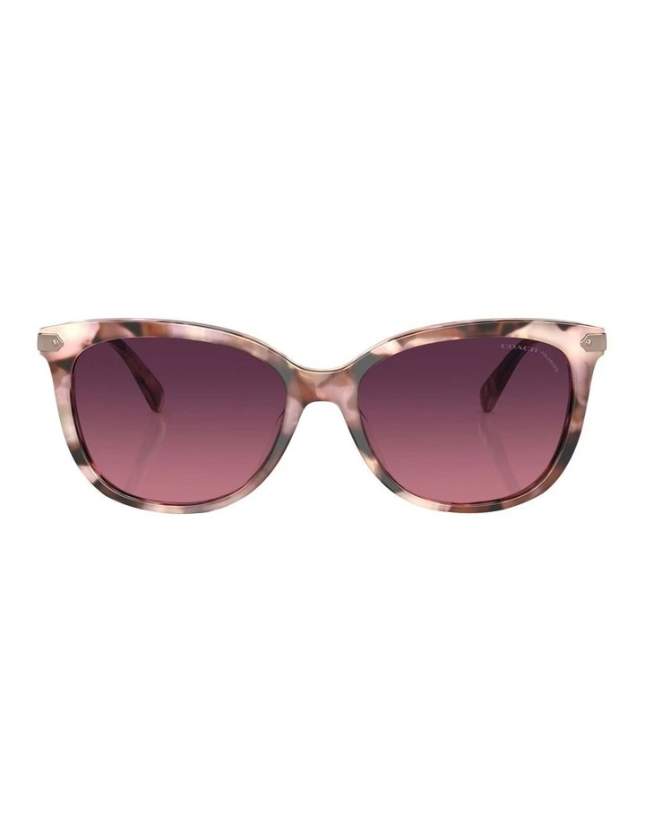 Polarised CL926 Sunglasses in Pink