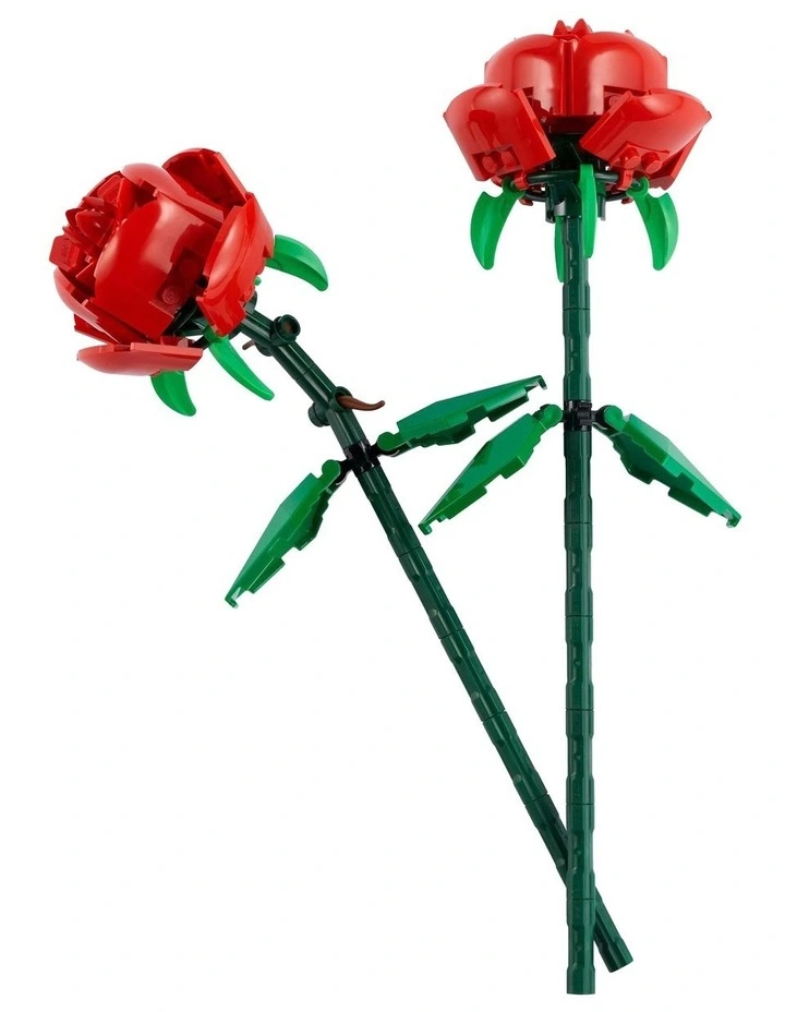 Iconic Roses 40460