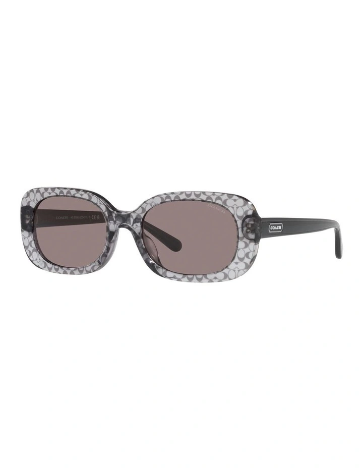 Transparent HCD471 Sunglasses in Grey
