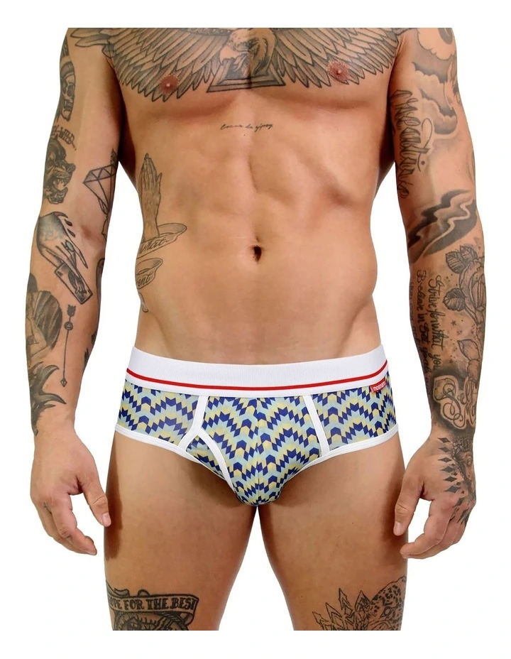 Mens Bamboo Brief in Multi