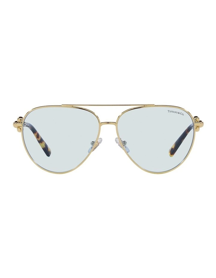 TF3092 Sunglasses in Gold