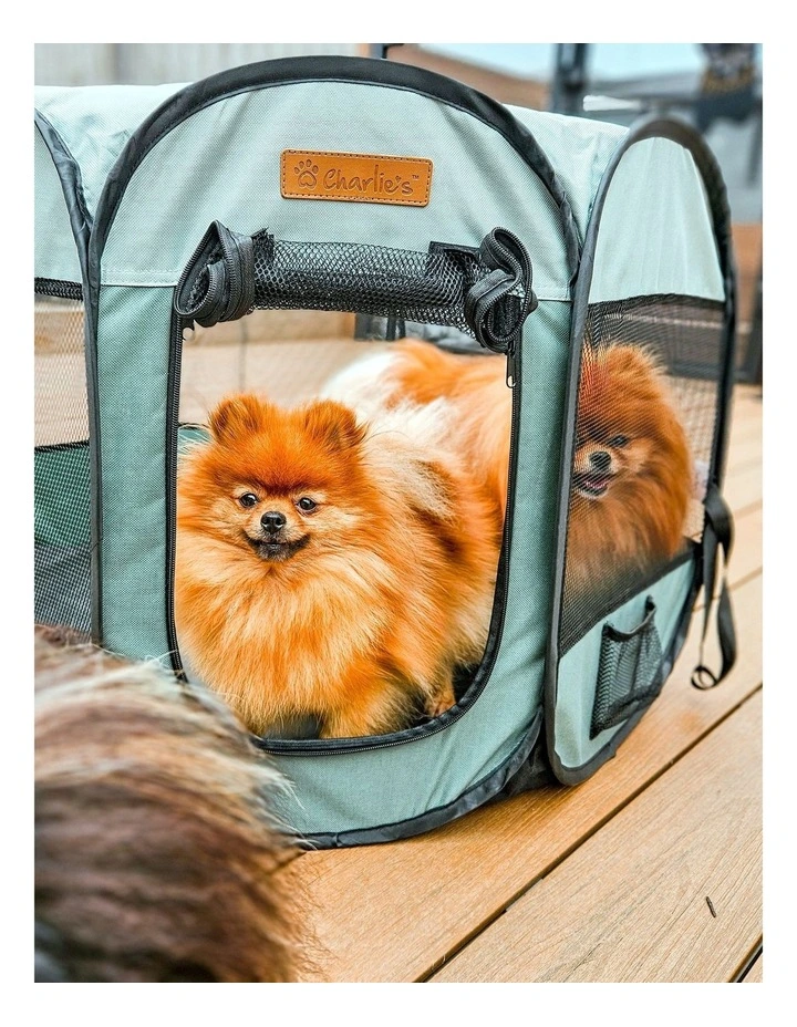 Adventure Pet Playpen Foldable Portable Crate in Sage