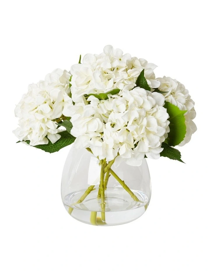 Hydrangea Alma Vase in White