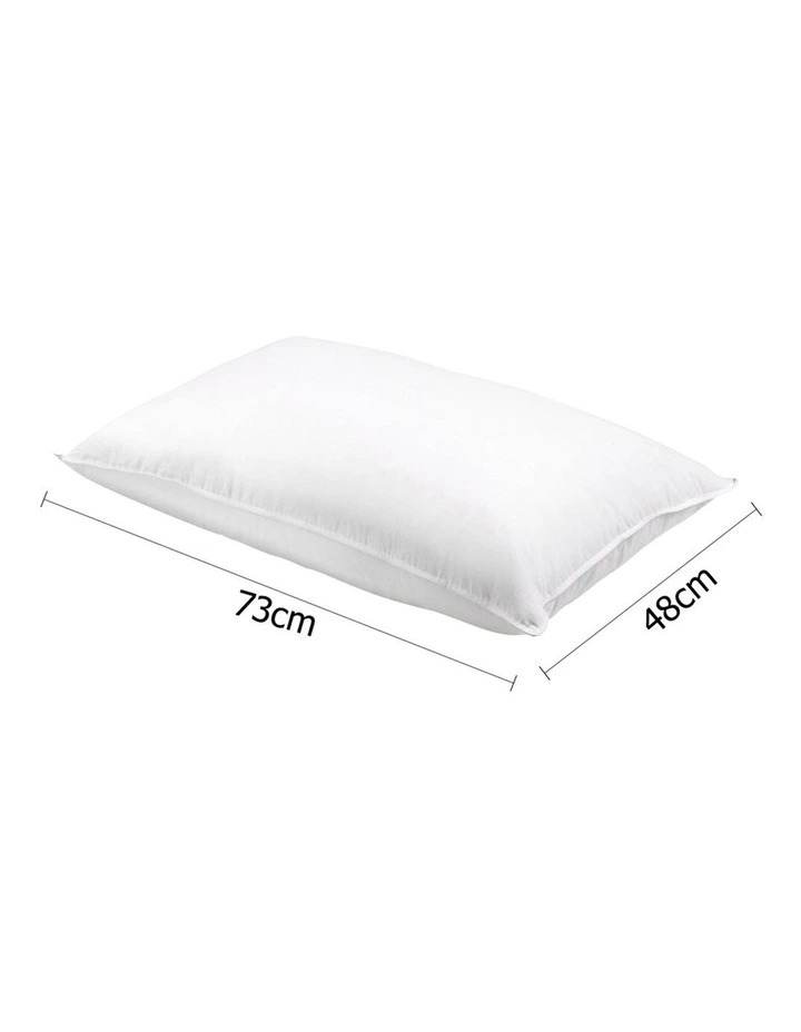 Set of 2 Duck Down Pillow