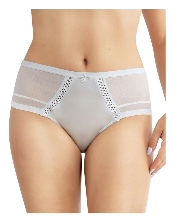 Shea Full Coverage High Waist Brief in Silver
