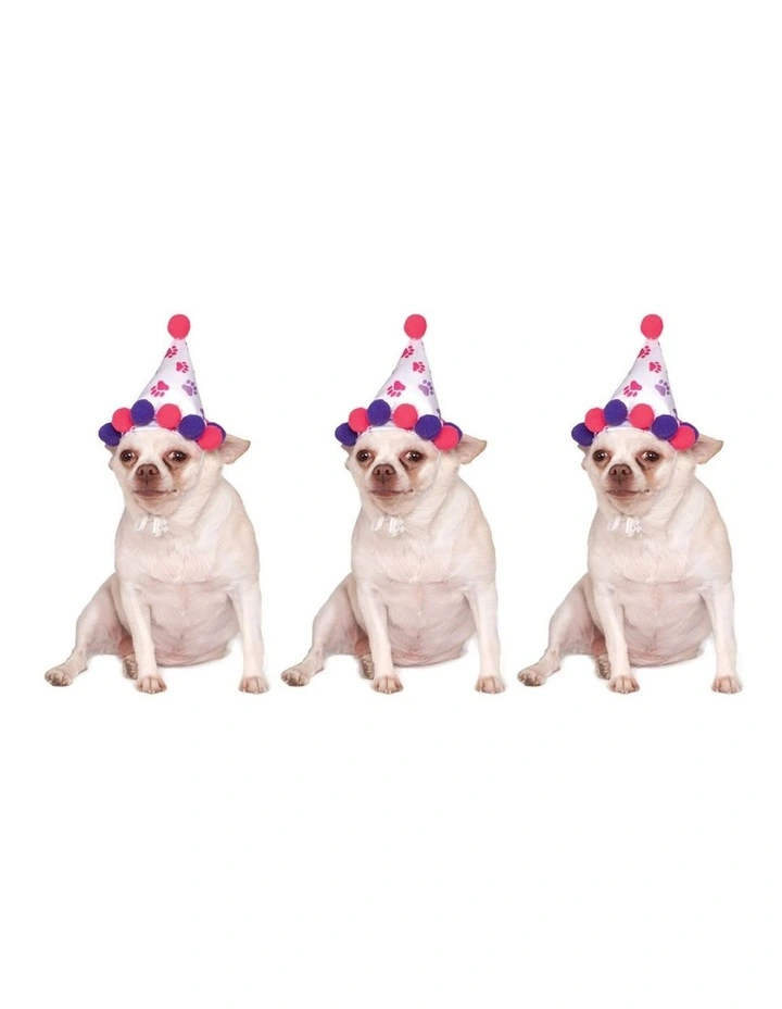 3x Rubies Paw Print Pet Birthday Hat Size M-L in Multi