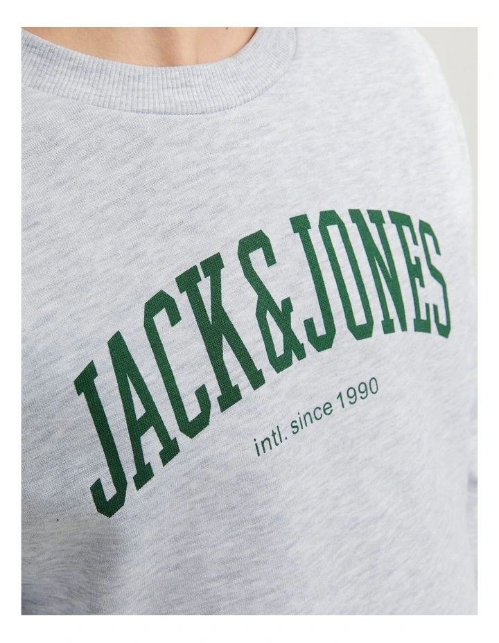 Josh Crew Neck Sweatshirt in White
