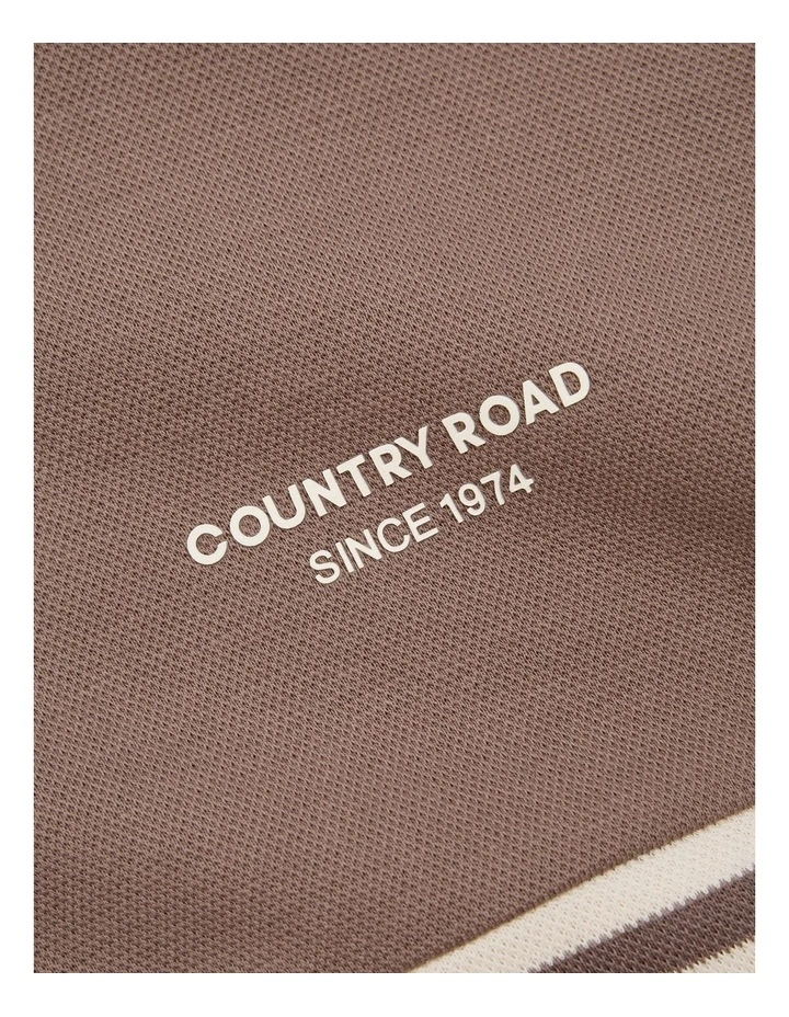 Organically Grown Cotton Logo Hood T-shirt in Chocolate Stripe
