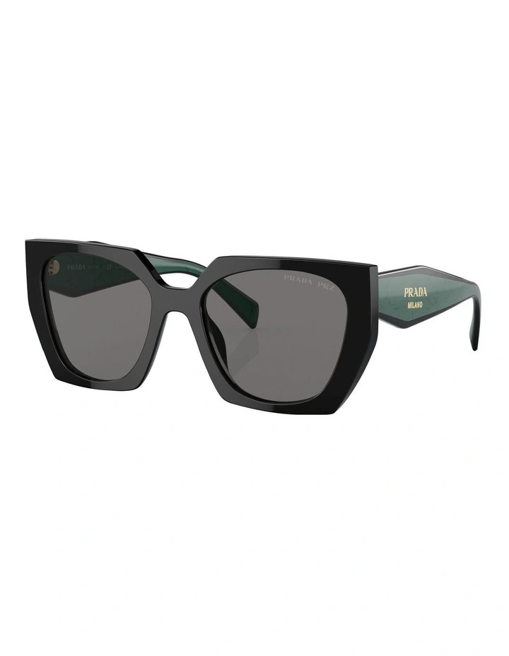 Polarised Sunglasses in Black