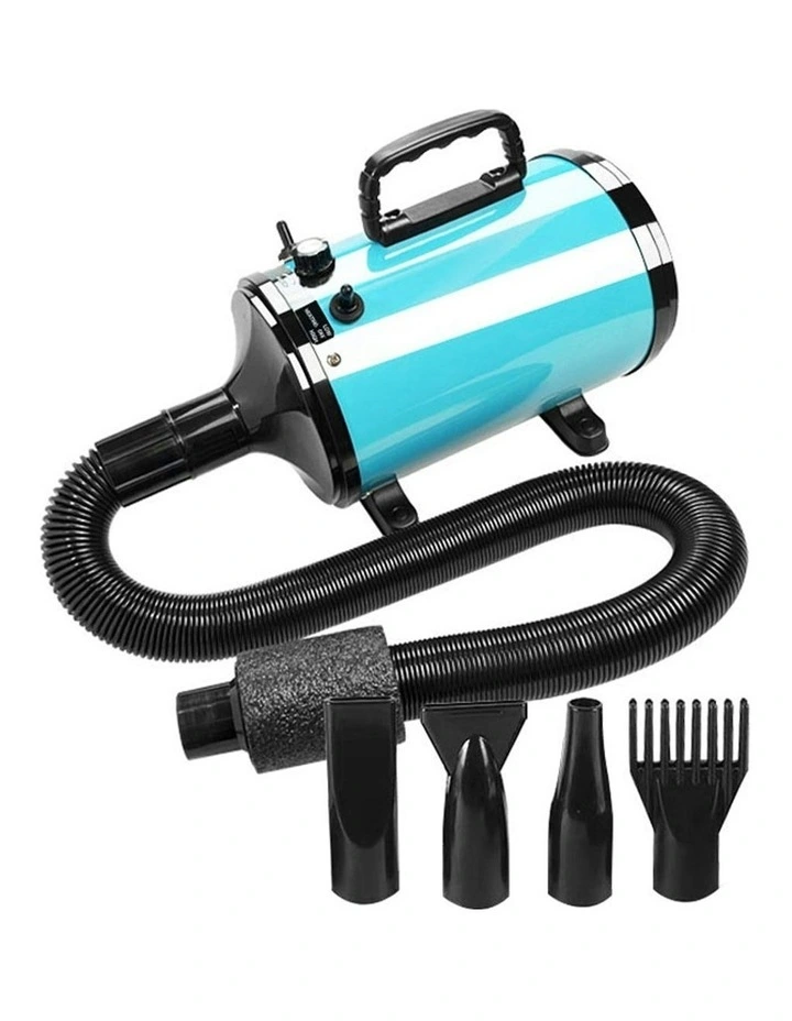 Pet Hair Dryer Advance in Blue