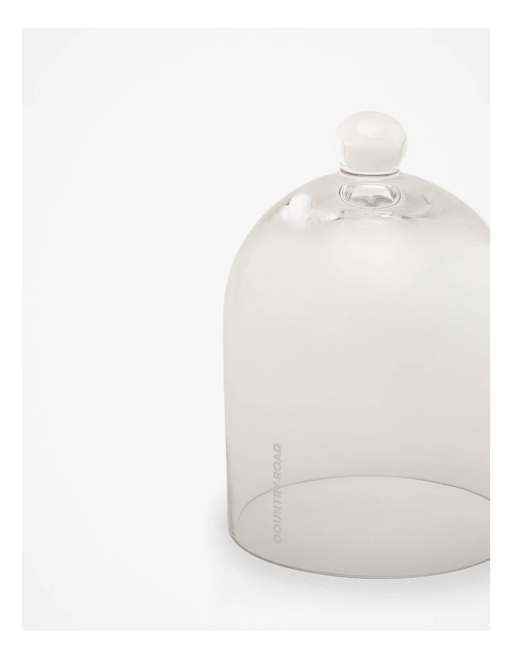 Dome Cloche in Clear