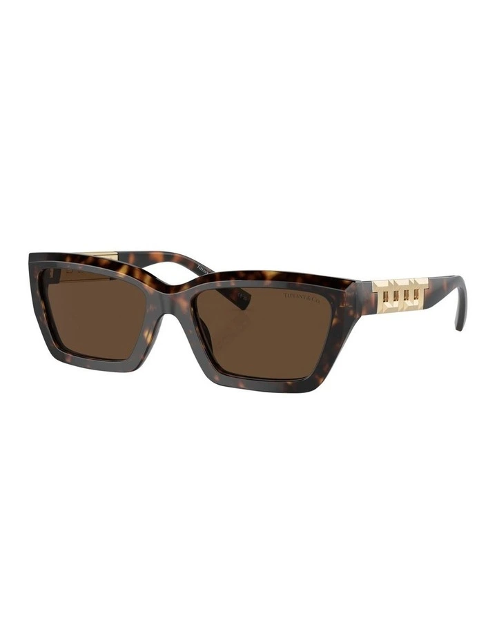 TF4213 Sunglasses in Tortoise