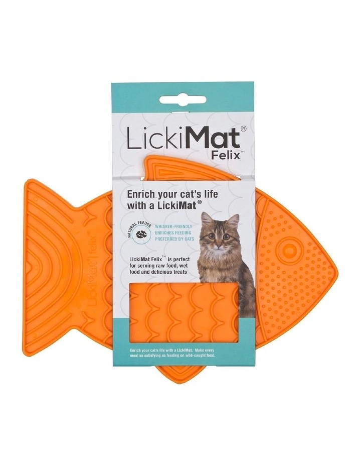 Felix Slow Food Bowl for Cats in Orange