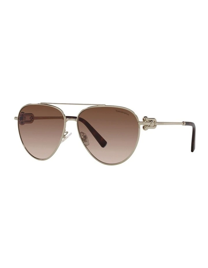 TF3092 Sunglasses in Gold