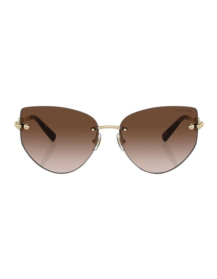 TF3096 Sunglasses in Gold