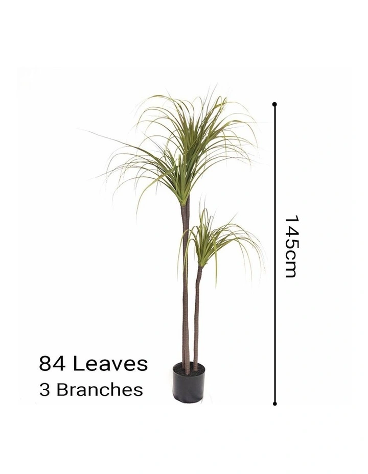 Potted Dragon Blood Artificial Plant 145cm in Assorted