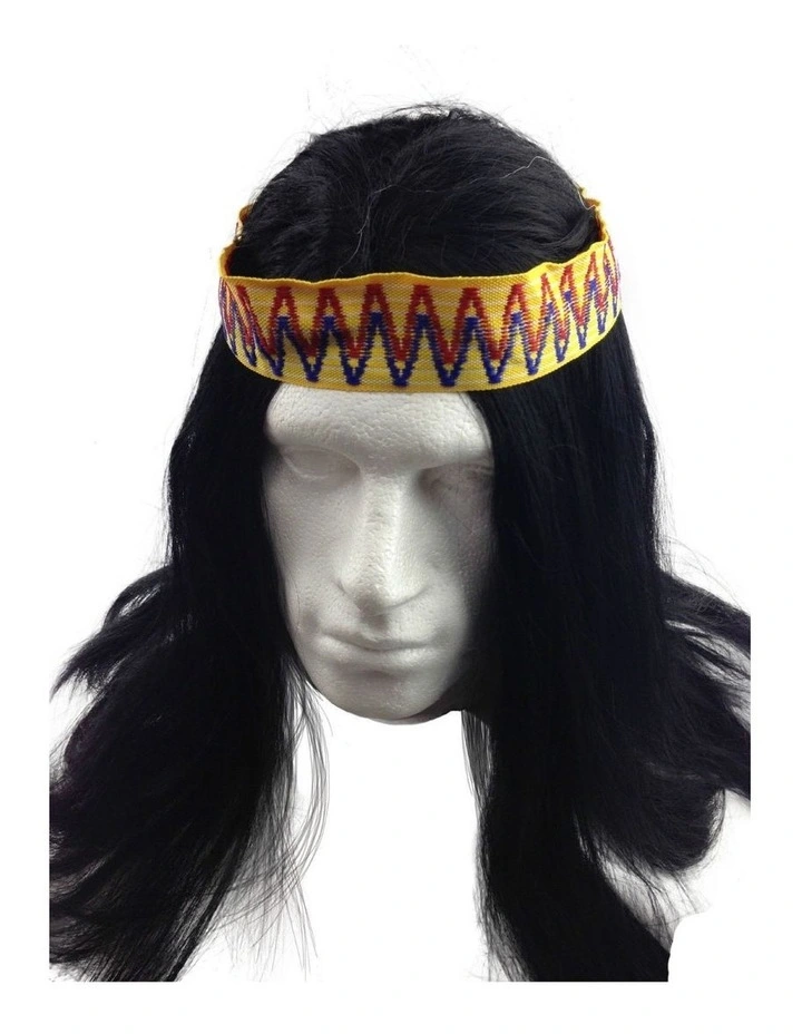 Indian Native American Costume Wig in Black