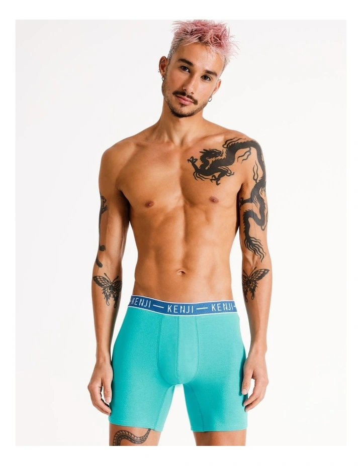 3 Pack Long Leg Plain Trunks in Assorted