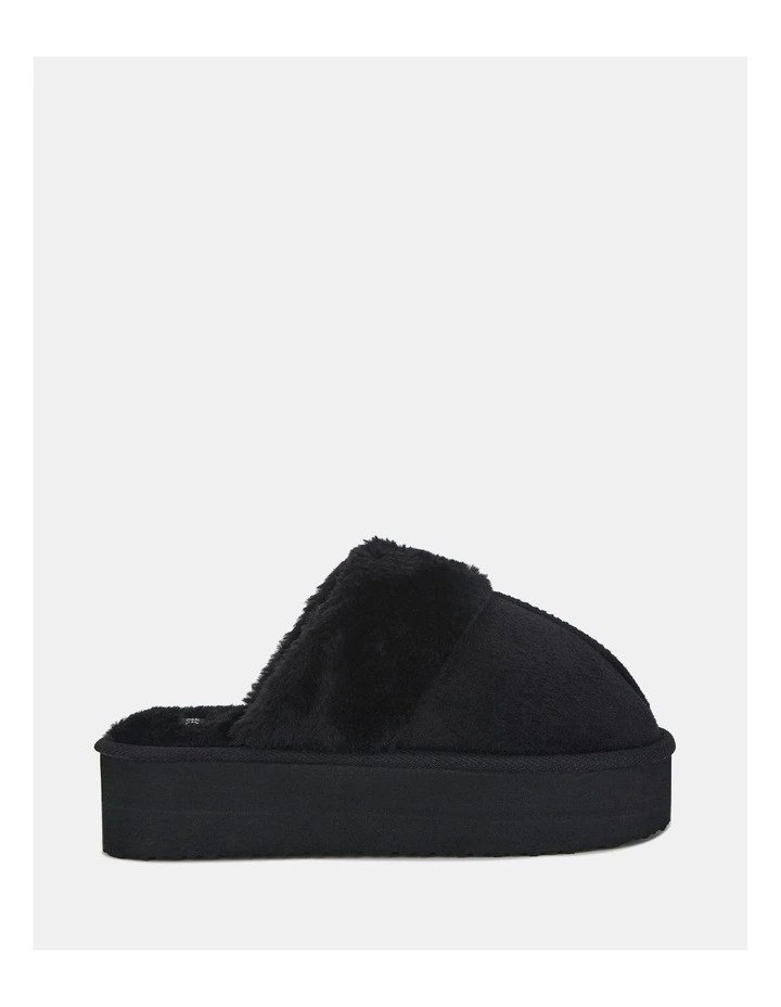 Fuzzy Platforms in Black