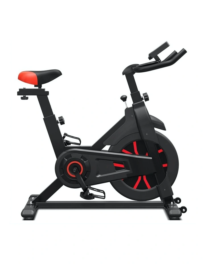 SP310 (M2) Spin Bike