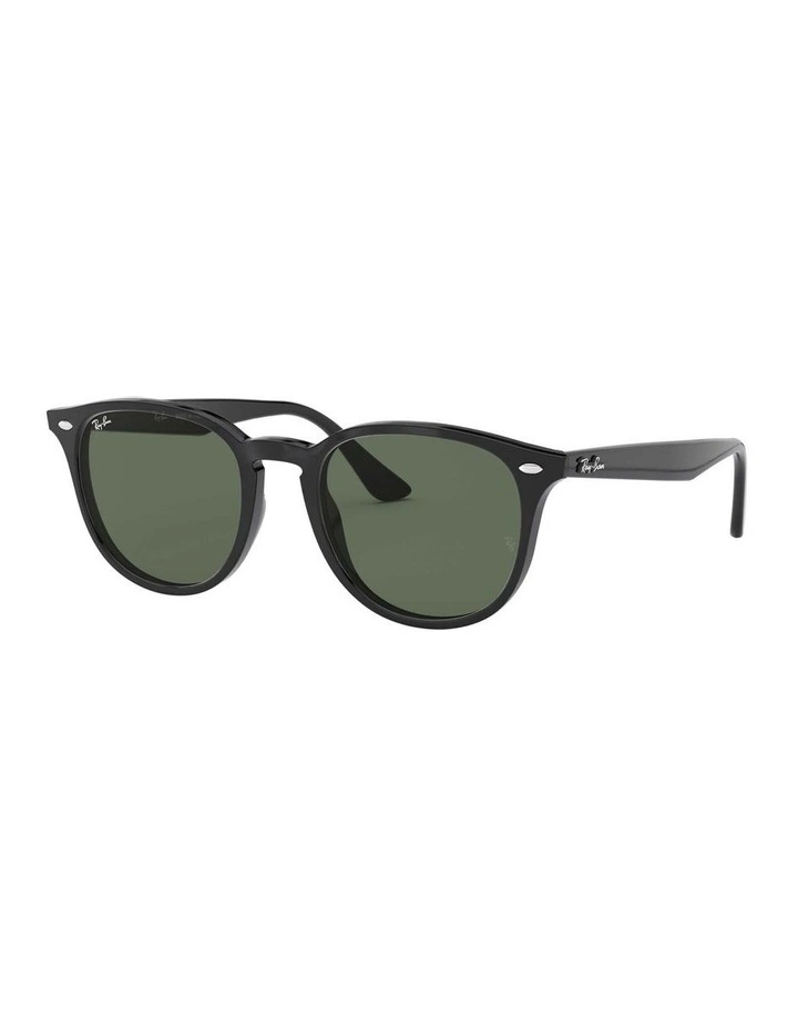 Black RB4259F Sunglasses