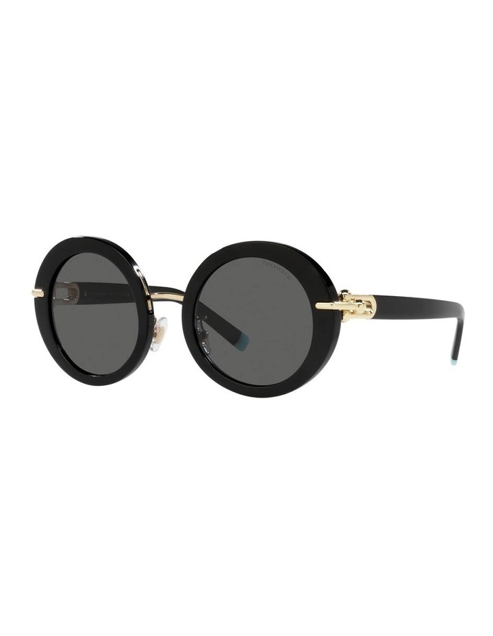 0TF4201 Sunglasses In Black